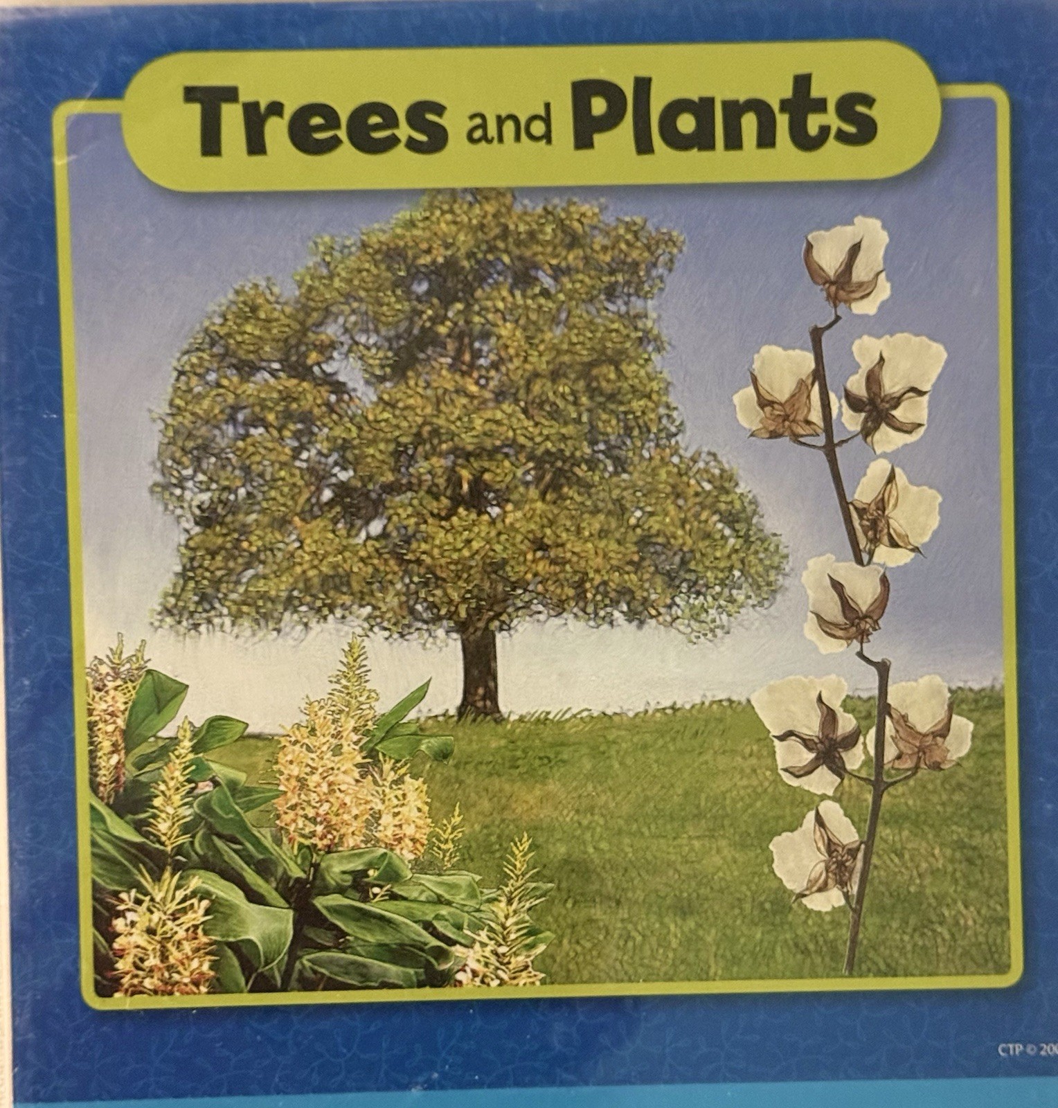 Natural Resources Mini Bulletin Board Set CTP Grades K-5 NEW