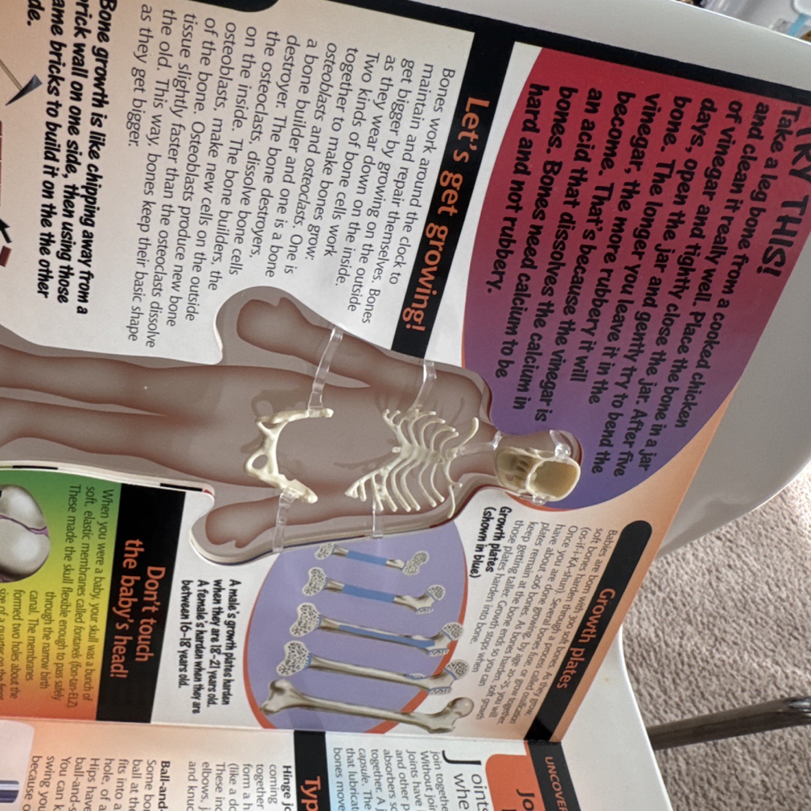 Silver Dolphin Uncover the Human Body 3D Educational Book Ages 8 and Up