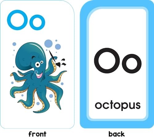 School Zone – Alphabet Fun Flash Cards – Ages 4 to 6, Preschool to Kindergarten
