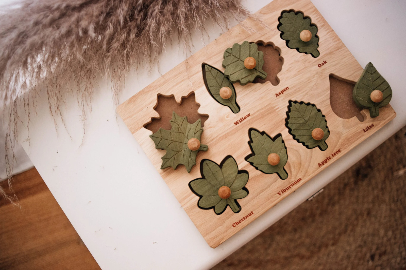 QToys USA Montessori Leaf Puzzle