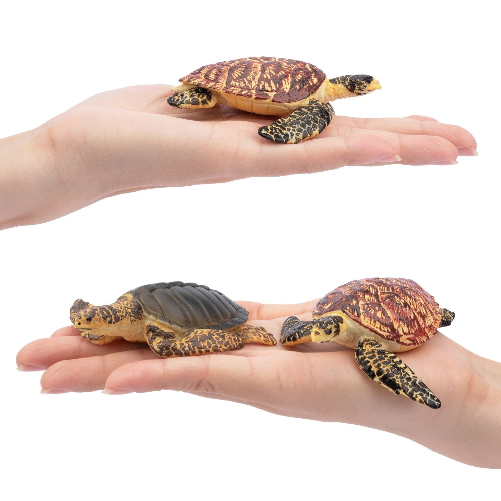 Toymany Sea Turtle Animal Figurine Realistic Collectible Toy Playset