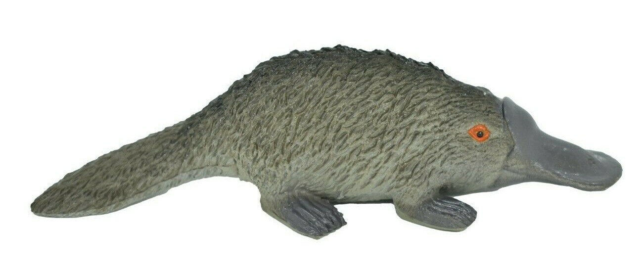 Platypus, Life Like Plastic Replica 4 inches long – F320 B111