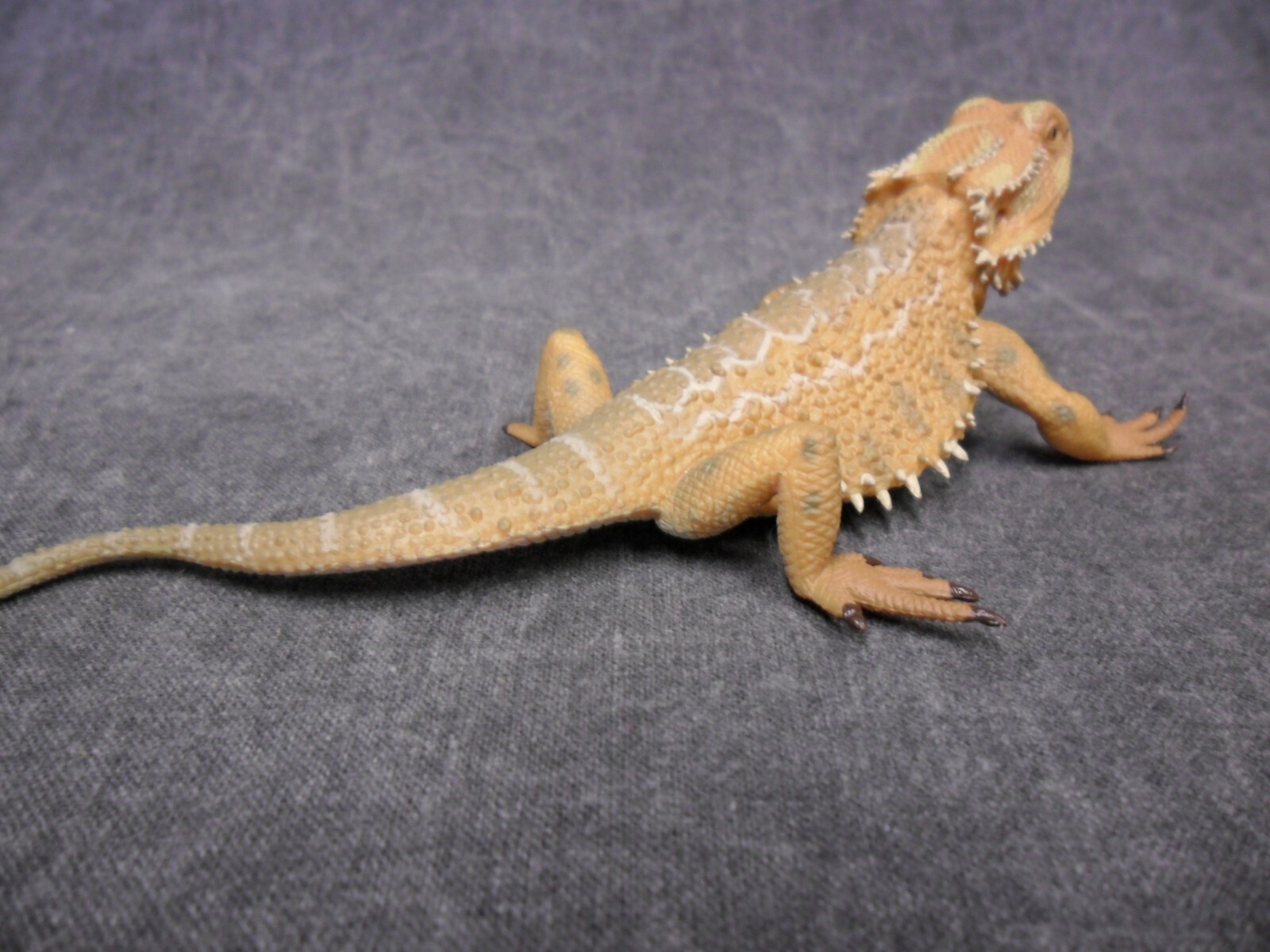 CollectA NIP * Bearded Dragon Lizard * 88567 Wildlife Pogona Model Toy Figurine