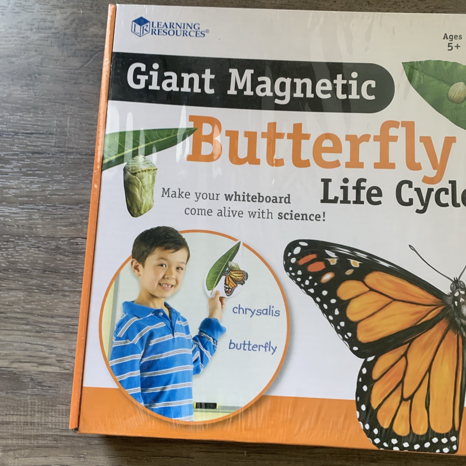 Brand New Magnetic Butterfly Life Cycle Learning Resources Write & Wipe Pieces