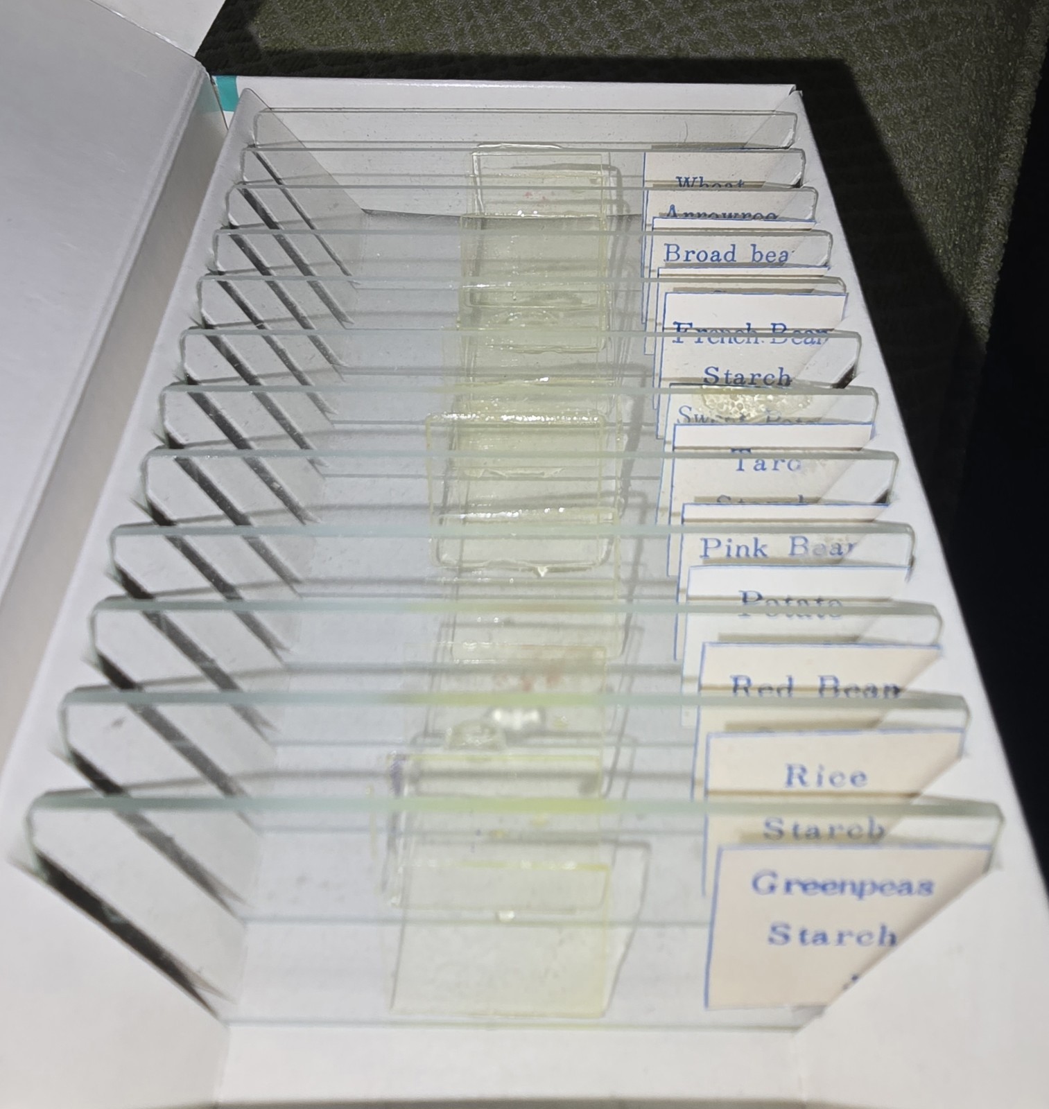 6 Boxes Prepared Microscope Slides, 12 Slides per box, Specimen’s Vintage 1960’s