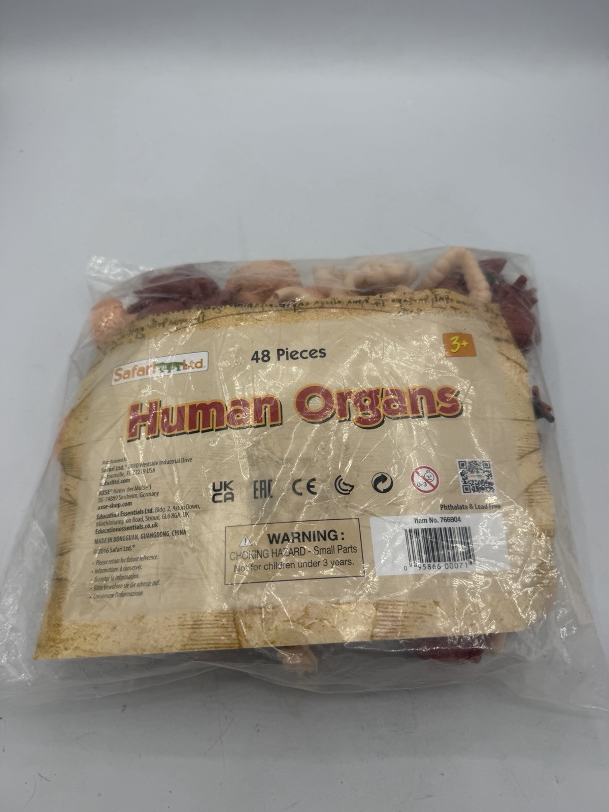 Safari Ltd Human Organs 48 Pieces Bulk Bag