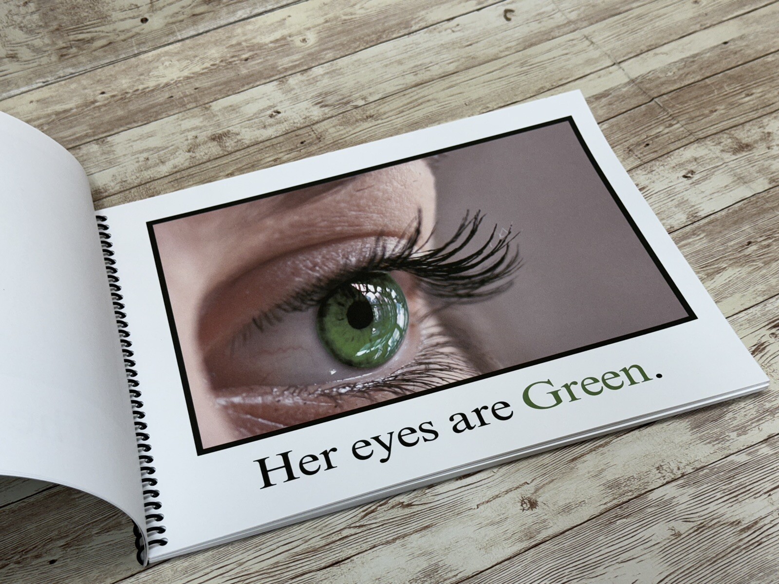 Green | Great And Green | LEARNING COLORS | Spiral Bound Picture Book