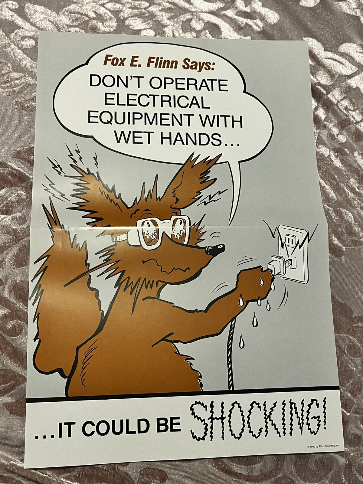 Vintage FOX E FLINN Safety Posters Educational Memorabilia Water Battery X2