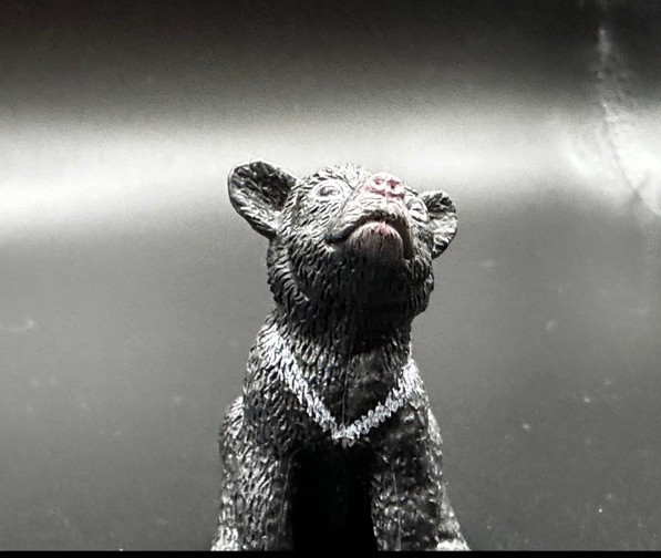 YOWIE Asian Black Bear Australian Collectible Mini Figurine Baby Animals Series