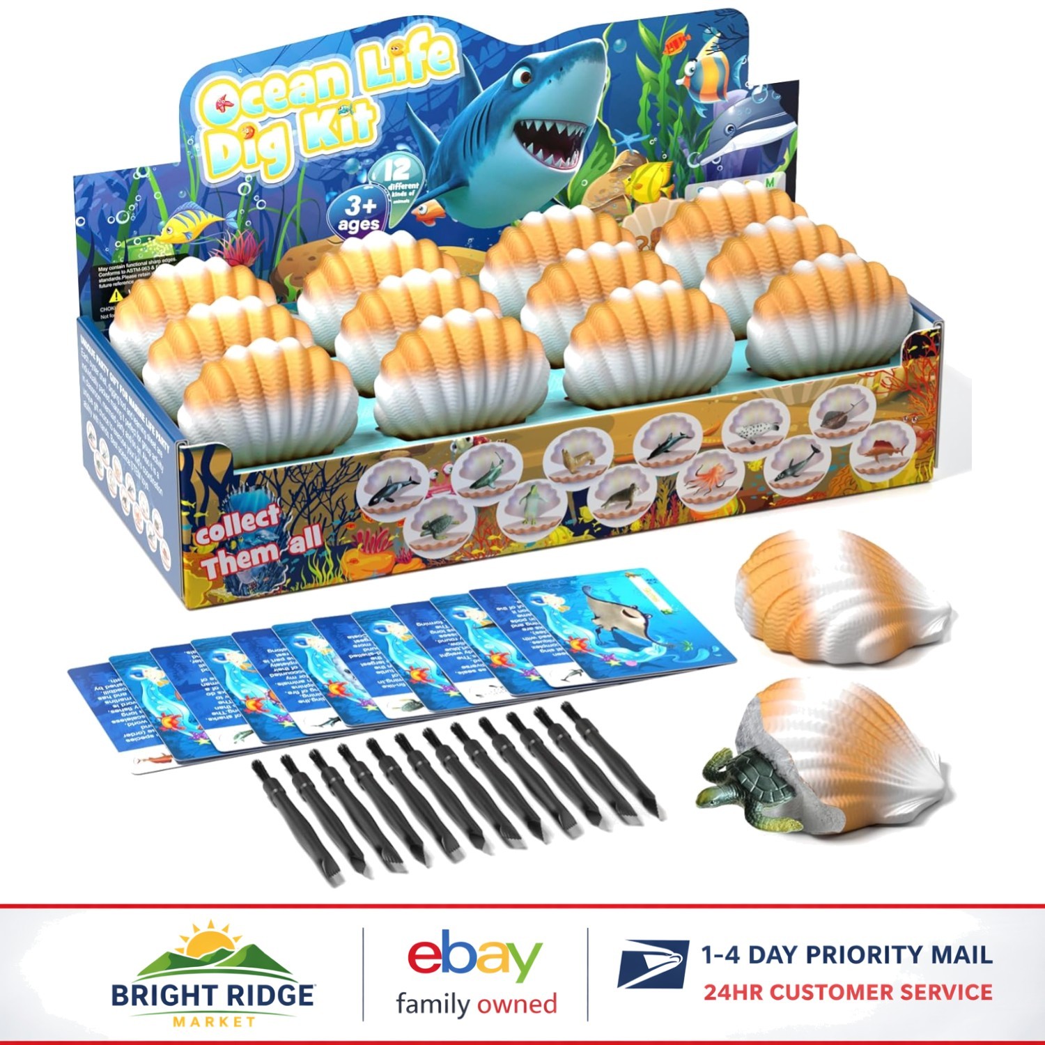 Educational Ocean Animals Dig Kit, Interactive Science Gift for Young Learners