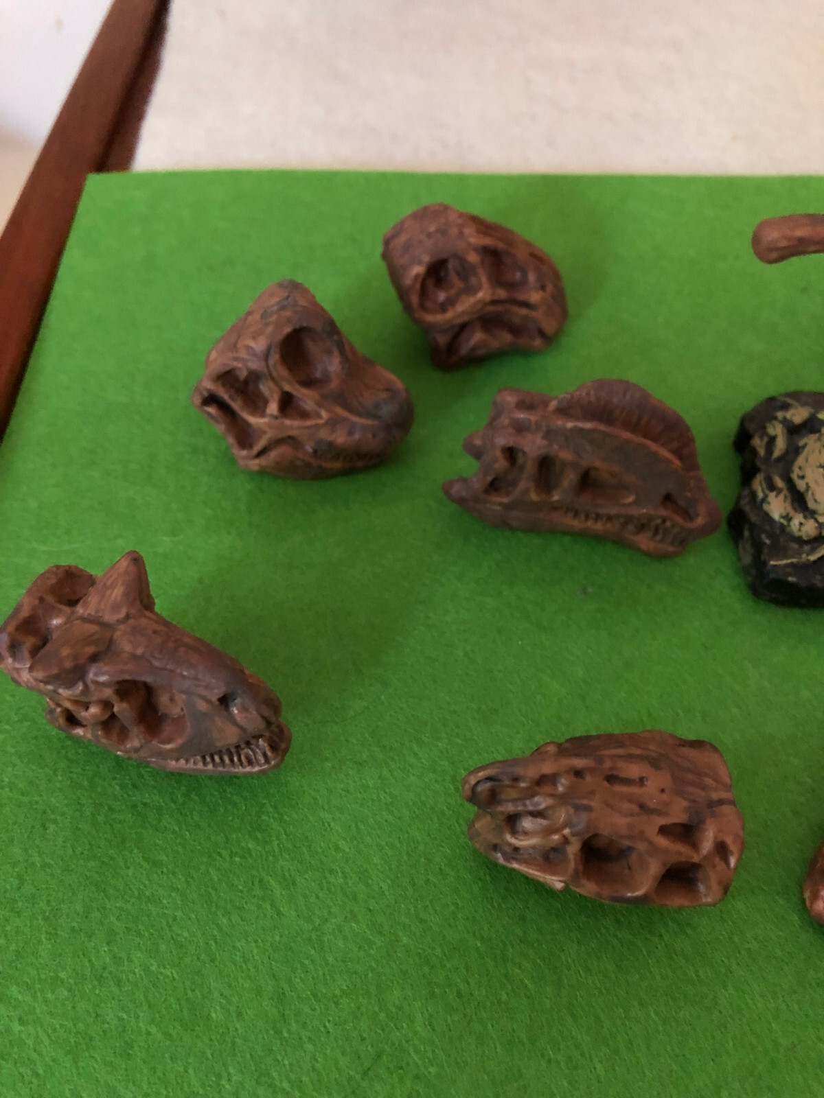 Dinosaur skulls fossils miniature dollhouse decor Toob lot replica cranium