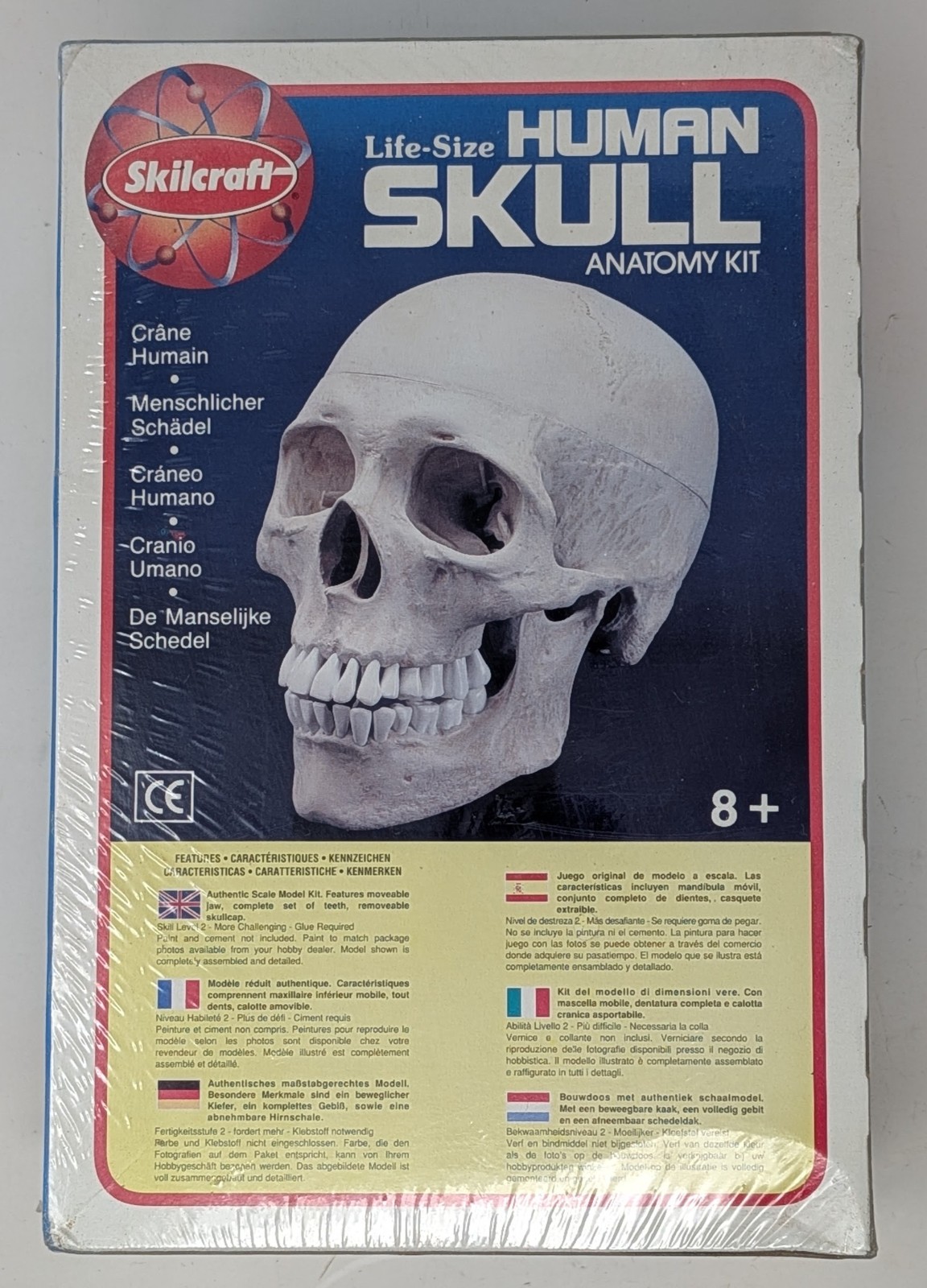 Vintage Skilcraft Life-Size Human Skull Anatomy Model Kit No. 74625 1996 – New