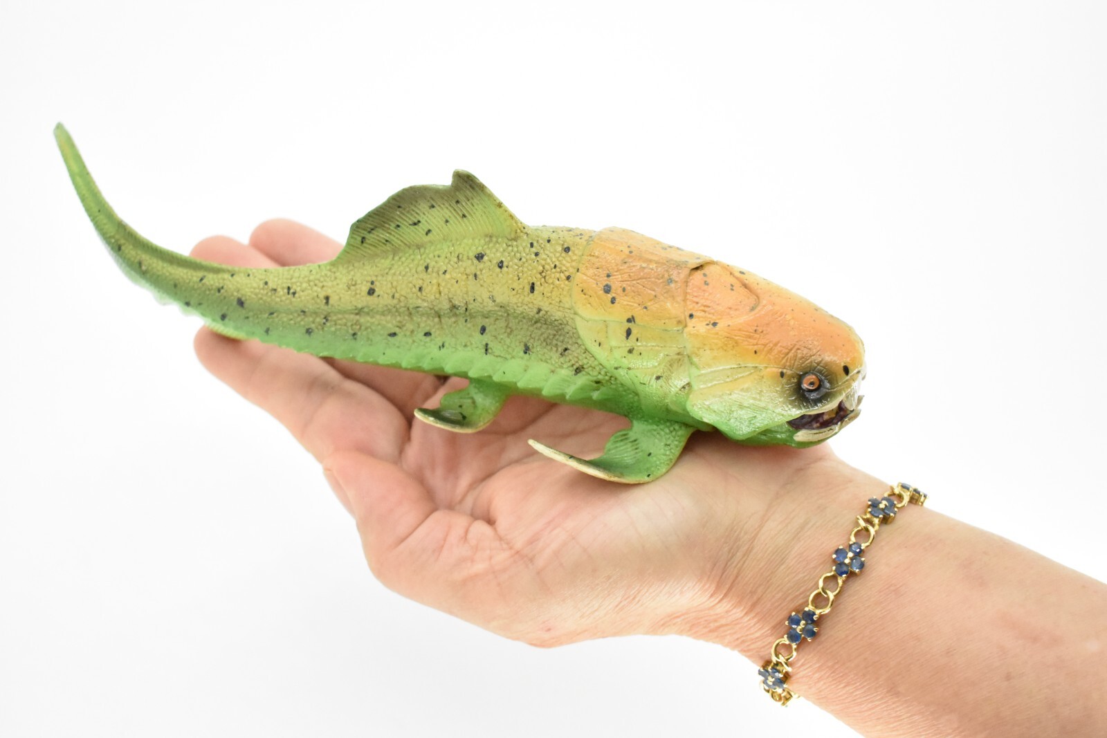 Dunkleosteus, Prehistoric Fish Dinosaur, Realistic Rubber Model Hand Painted Toy