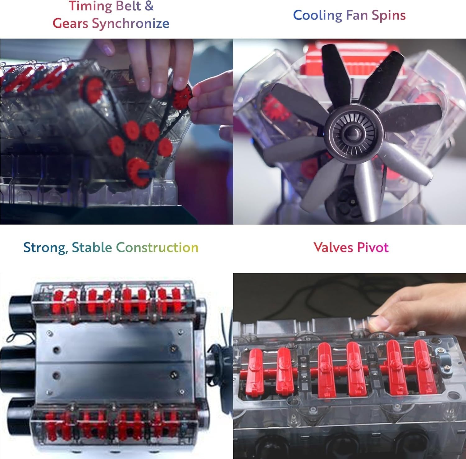 V8 Combustion Engine Model Kit that Runs – Build Your Own STEM Mini V8 Model …