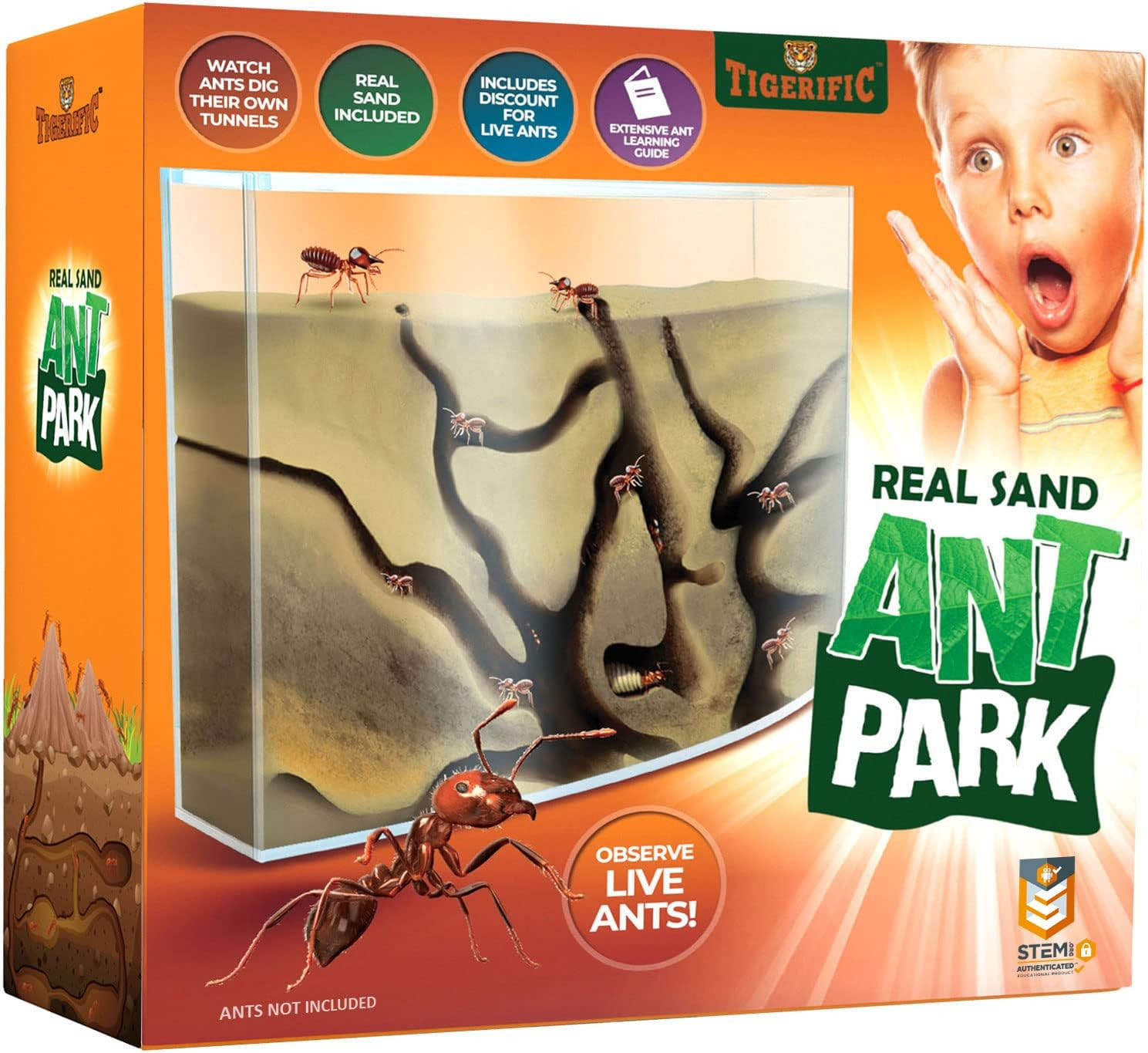 Ant Farm for Live Ants – Real Sand Ant Colony Kit for Kids -Fun Science Habitat