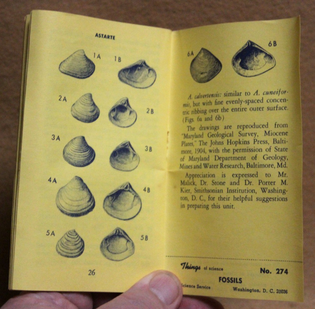 1963 THINGS of Science FOSSILS Unit No 274 by Science Service included 3 fossils
