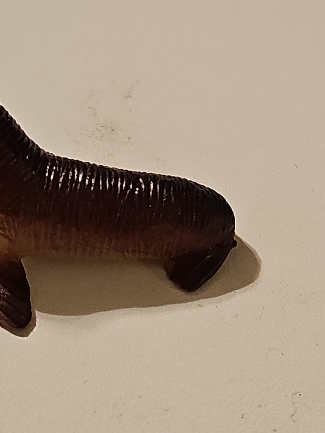 Unbranded Brown Sea Lion Plastic Toy Figure- 2.5 Inches Long, 1 Inch Tall