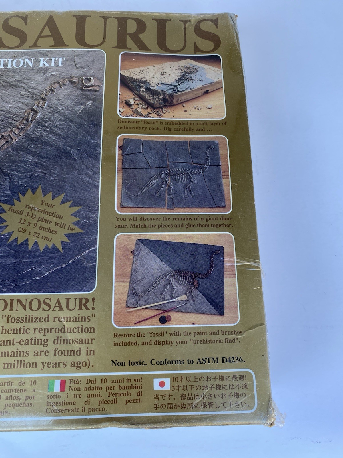 Dinosaur Excavation Kit Expedition Brontosaurus Skeleton Fossil Restoration 832