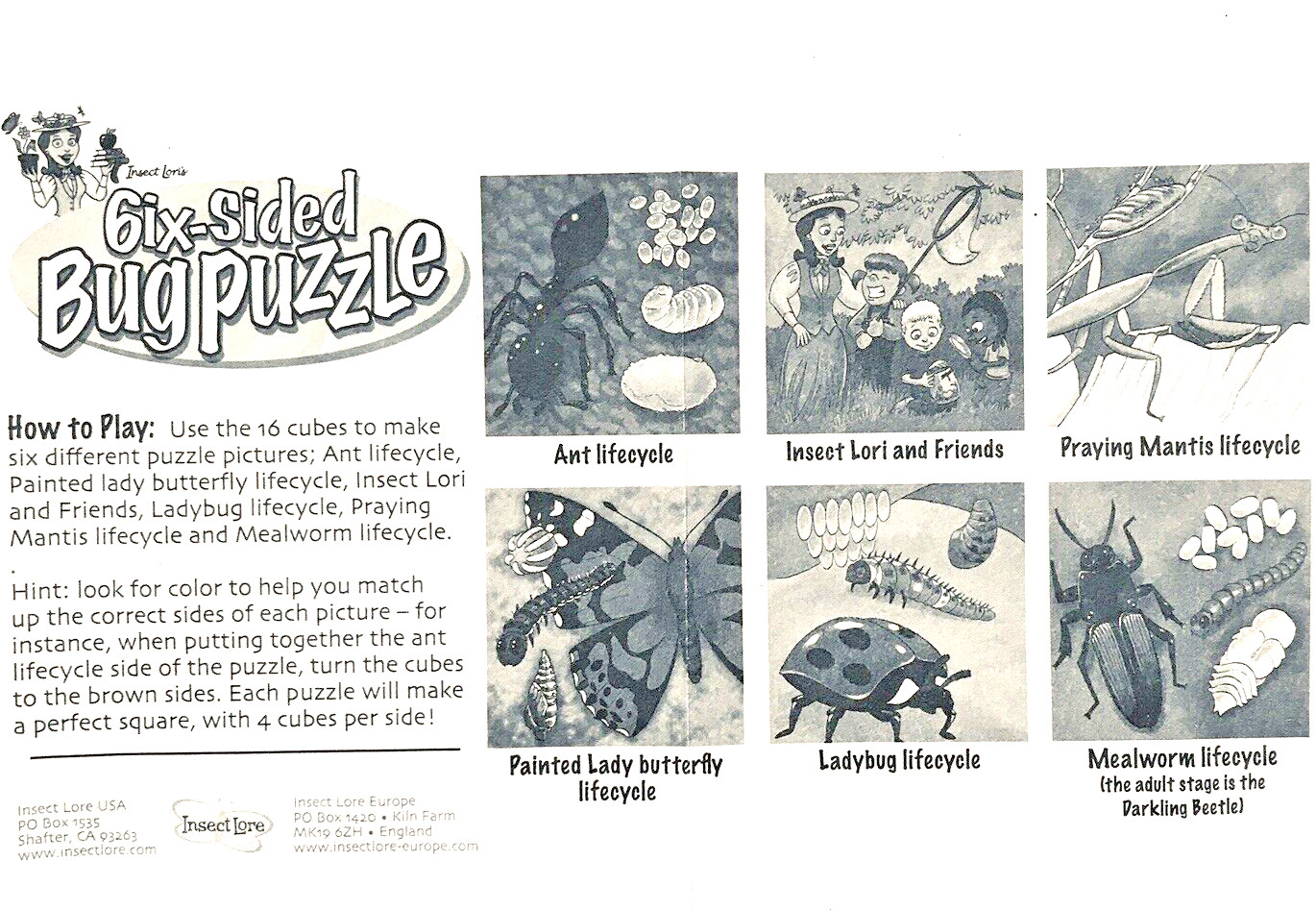 6 Bug Puzzles Insect Lore 16 Plastic Six-Sided Cubes with Instructions