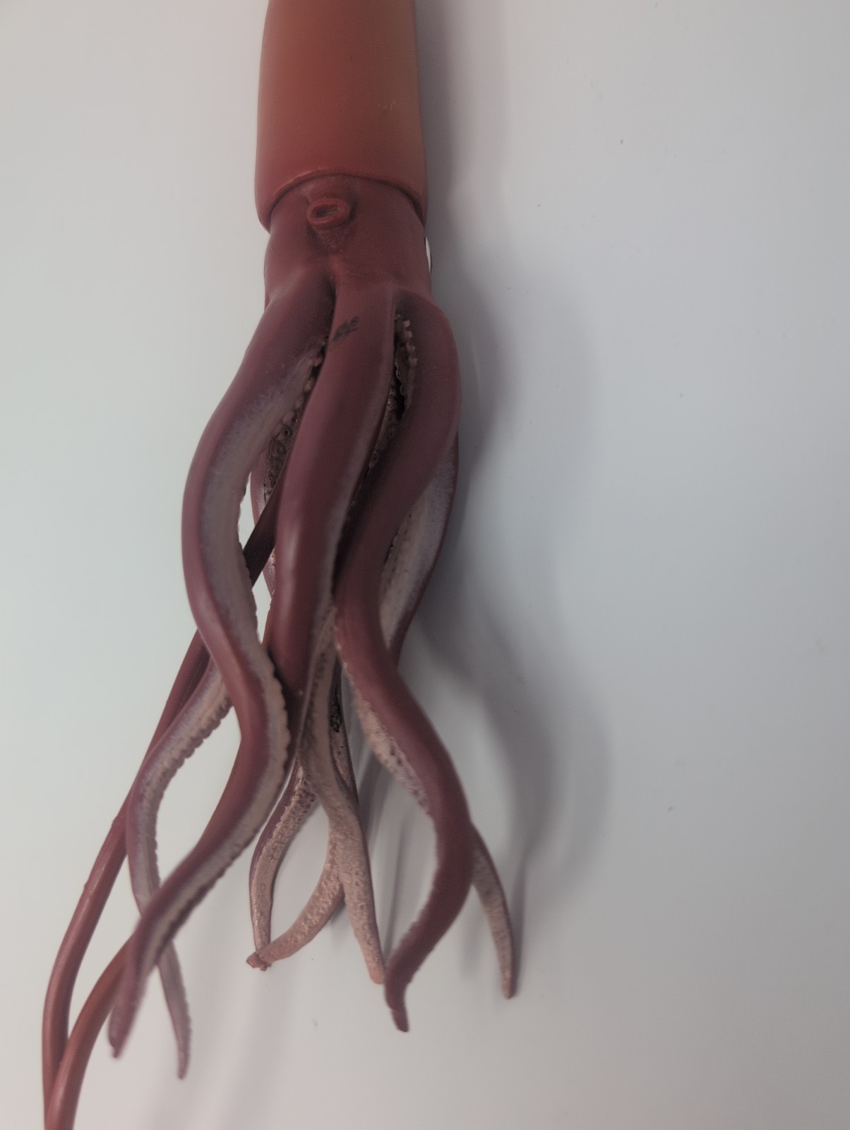 Giant Squid Figure Safari Ltd. 1998 Monterey Bay Aquarium Sea Life CHECK PHOTOS!