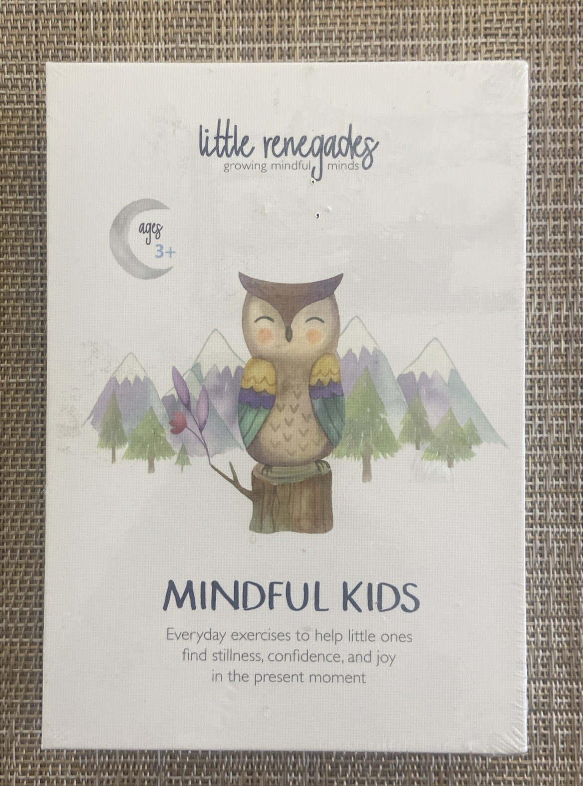 Little Renegades Mindful Kids Cards Ages 3+ Daily Exercises of Mindfulness NEW