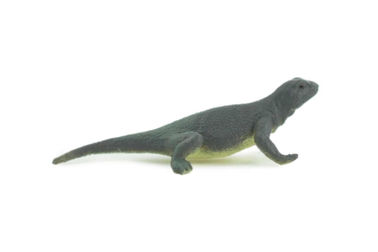Toy Gray’s Monitor Lizard, Realistic Hand Painted Rubber, 2 Inches WR43 B197