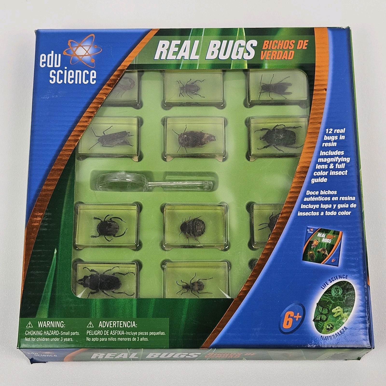 Edu Science REAL BUGS in Resin Insect Display 12-Pack Original Box, Toys “R” Us