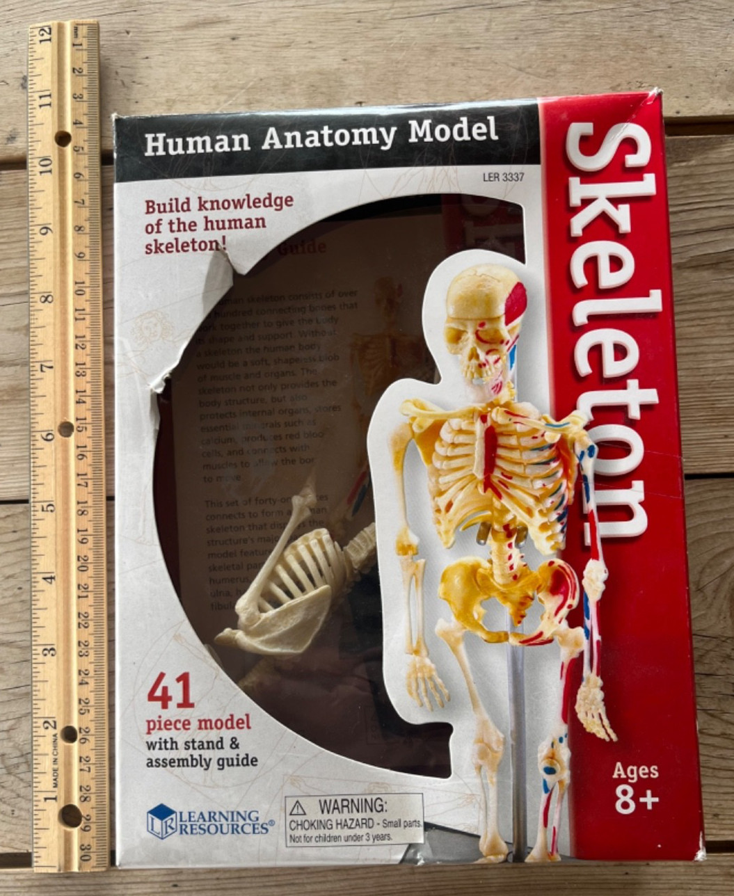 Human Anatomy Model Skeleton 41 Pieces Ages 8+ Learning Resources