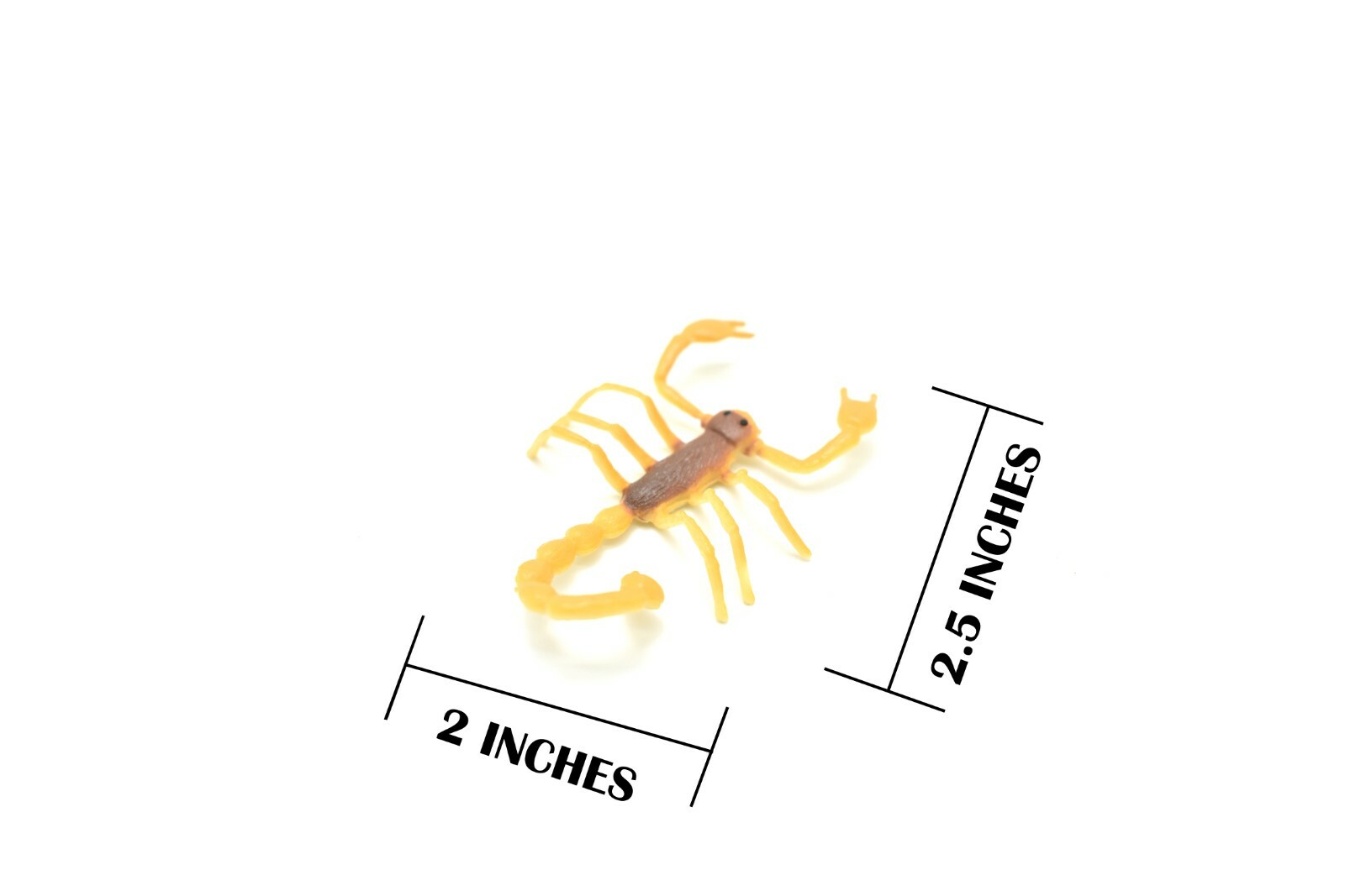 Scorpion Orange Black Plastic 2.5 inches Length – F1055 B190