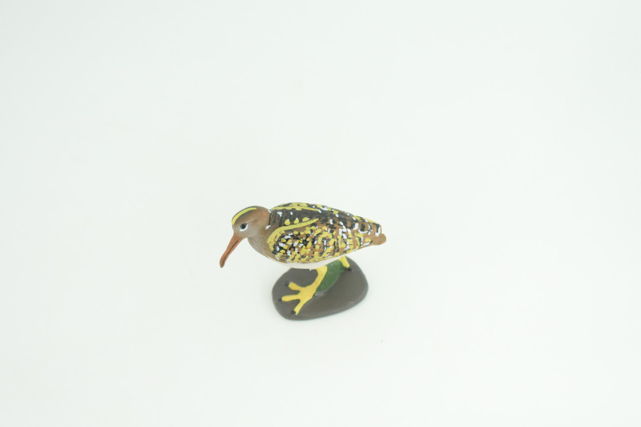 Greater Painted Snipe Toy, Hand Painted Realistic Bird, 2 3/4 Inches CH870 BB199