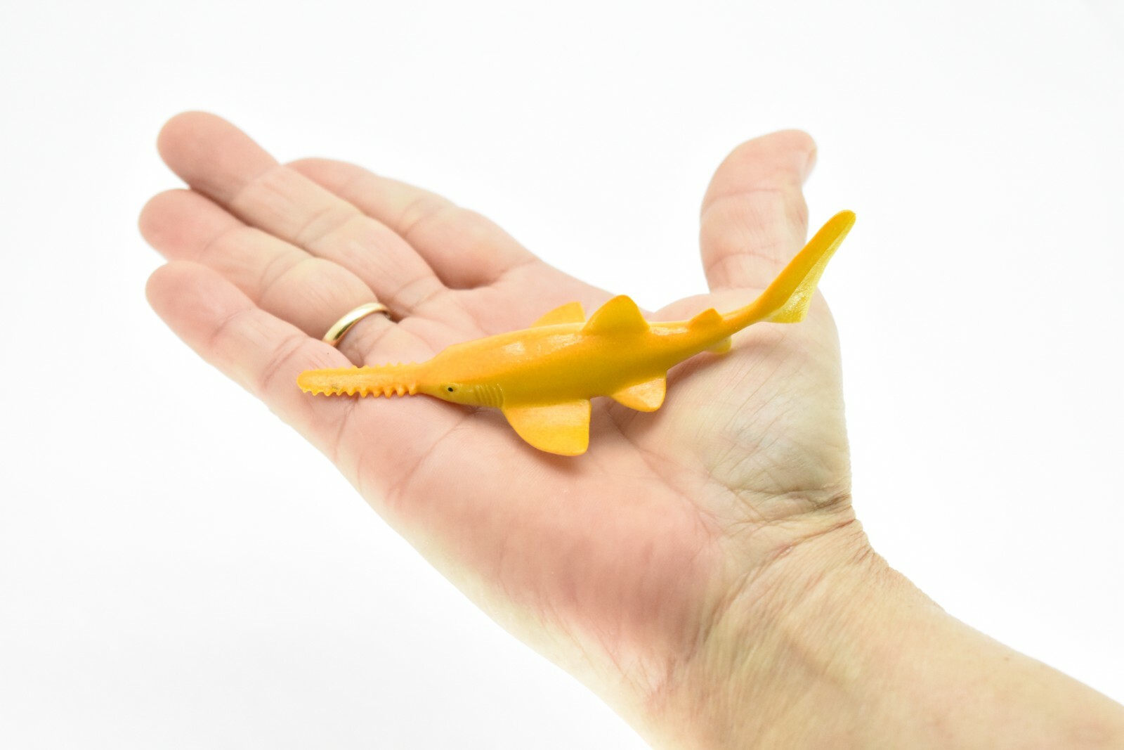 Sawtooth Shark, Sawfish, Realistic Toy Model Plastic Replica, Kids 4.5″ CWG90