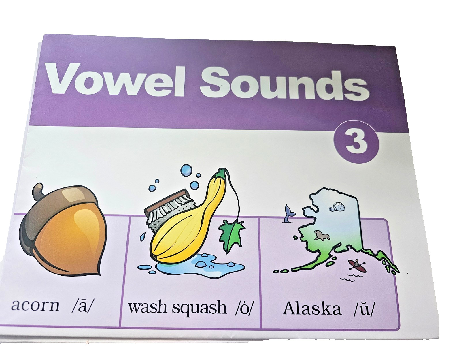 Fundations Wilson Language Vowel Sounds Level 3 Poster 22″ x 34″ F2PSTVW3 NEW