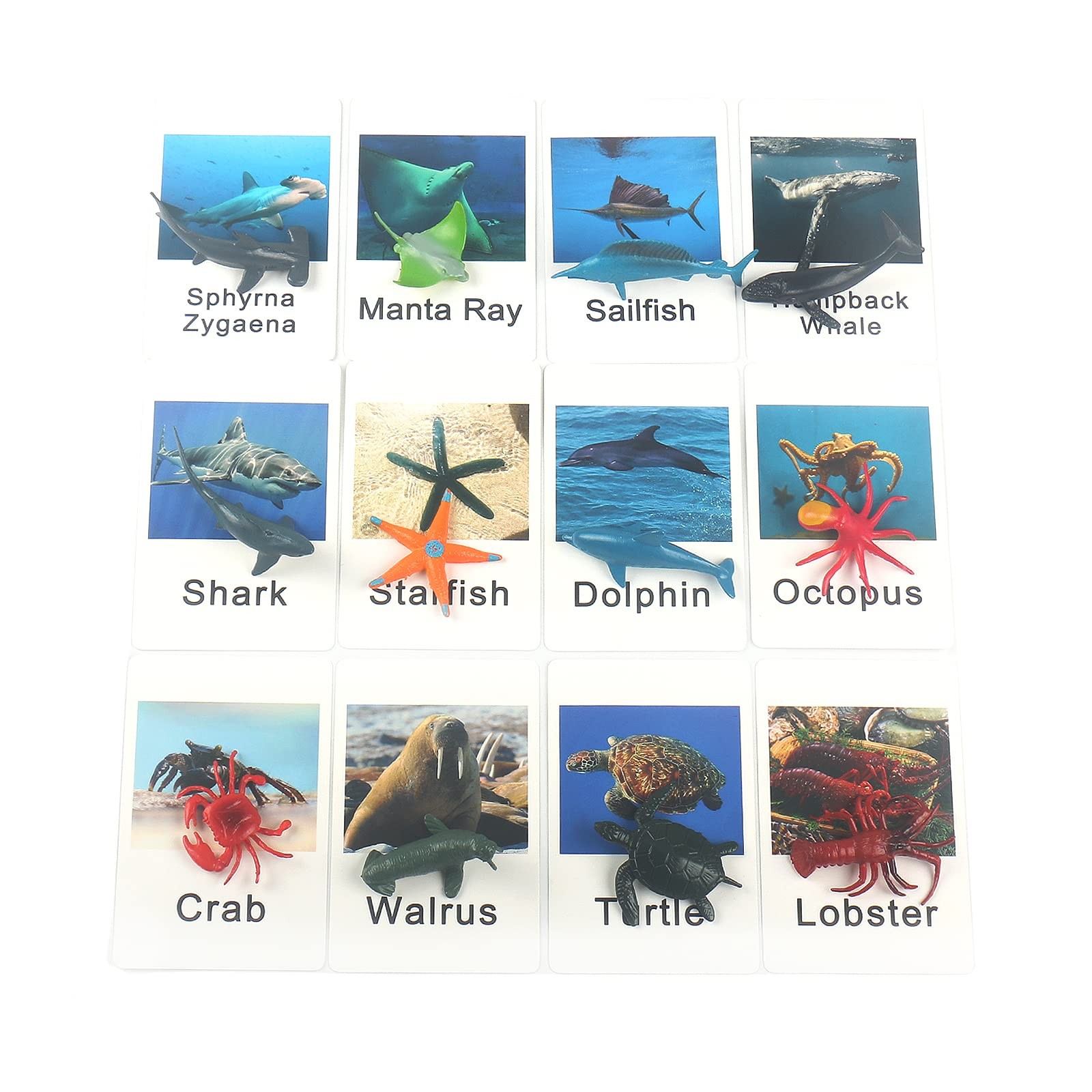 Montessori Animal Match Game Cards Marine Animal Matching Montessori Language…