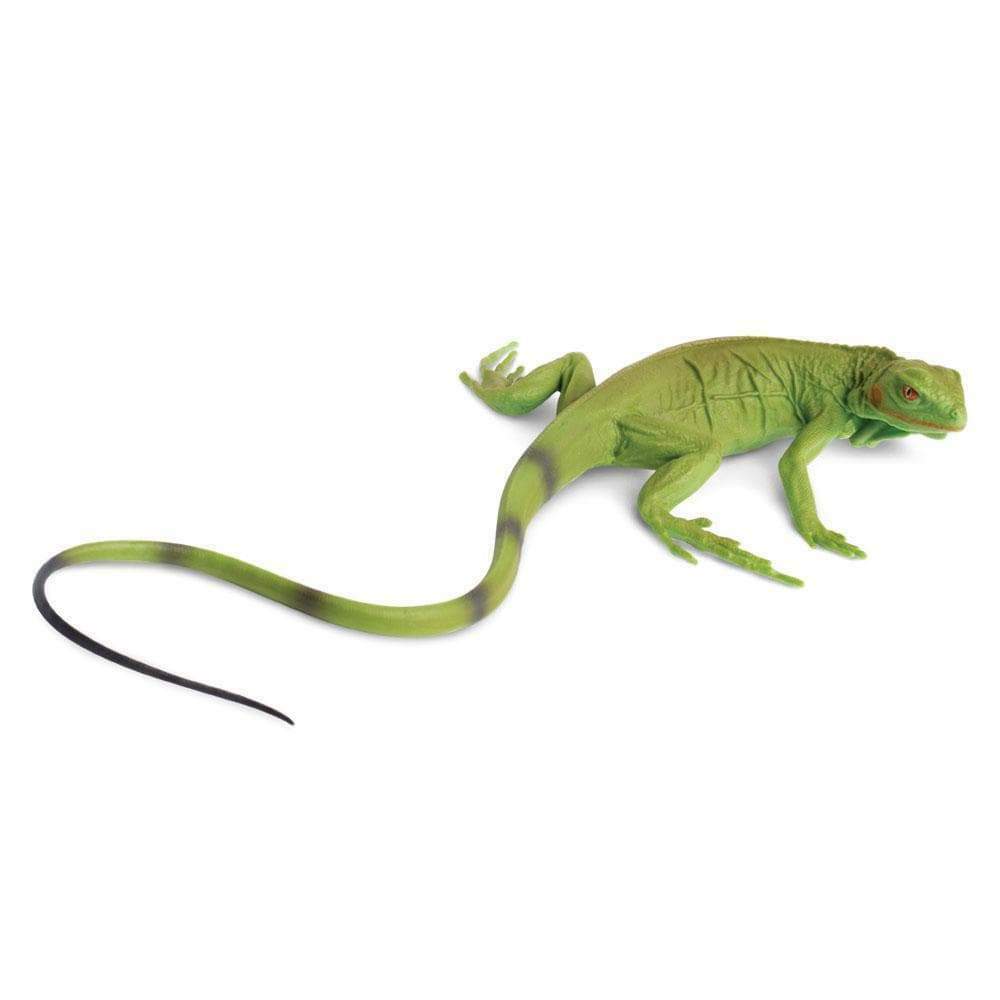 BABY IGUANA Animal Figurine Safari Ltd. toy Incredible Creatures Collection