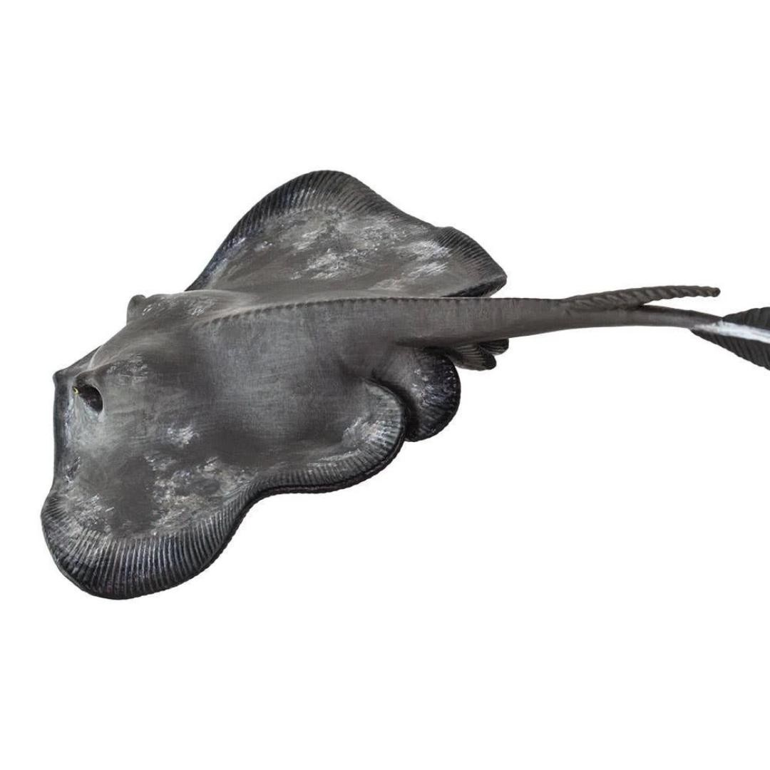 Sting Ray Figure – Hand Painted & Collectible Toy – Safari Ltd 100507