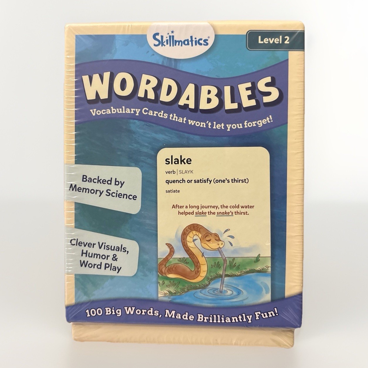 Skillmatics Vocabulary Flash Cards for Kids – Learn 100 Words with Wordplay Lvl2