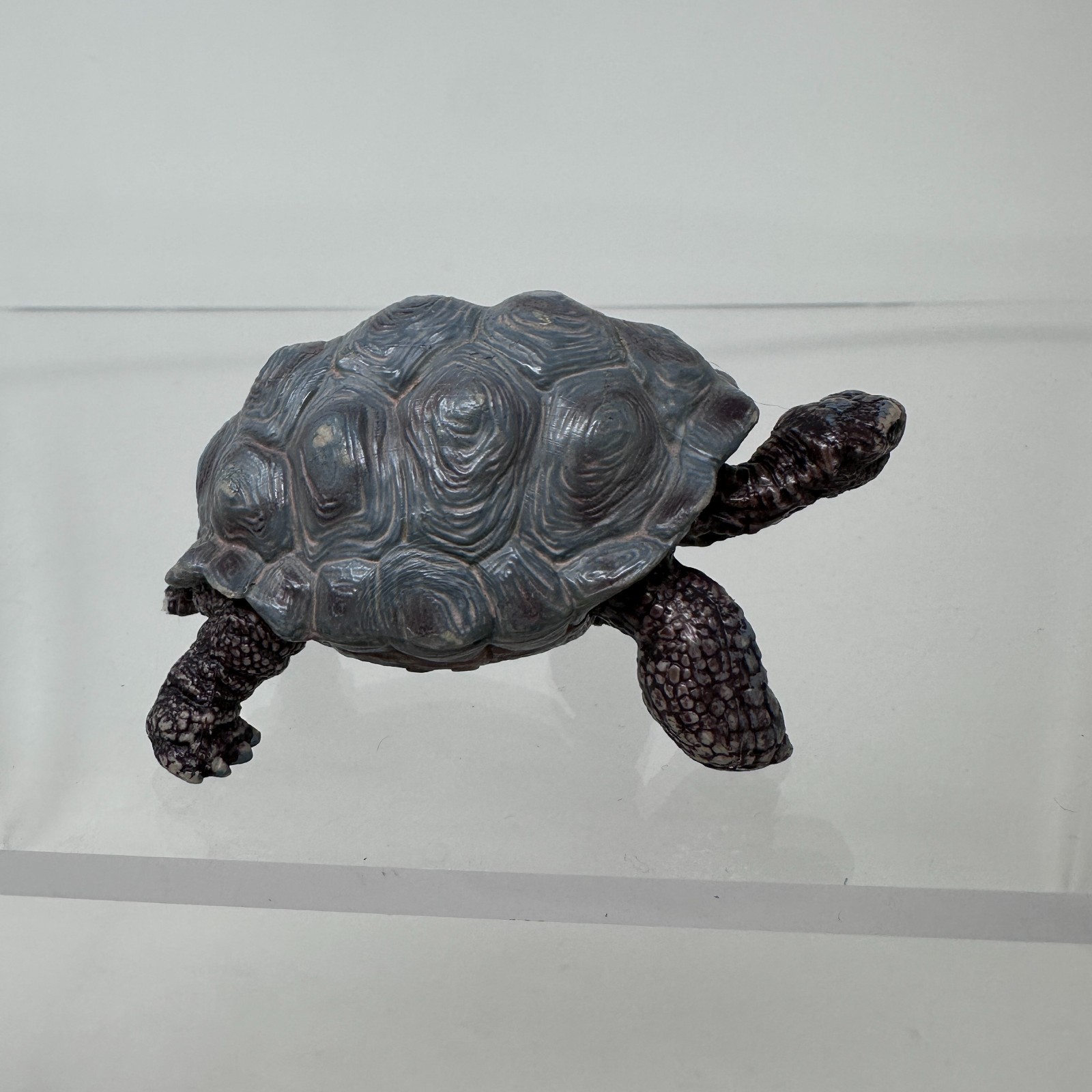 Schleich Tortoise Figure Gray Land Turtle Wildlife Zoo Safari Animal Figurine 3″