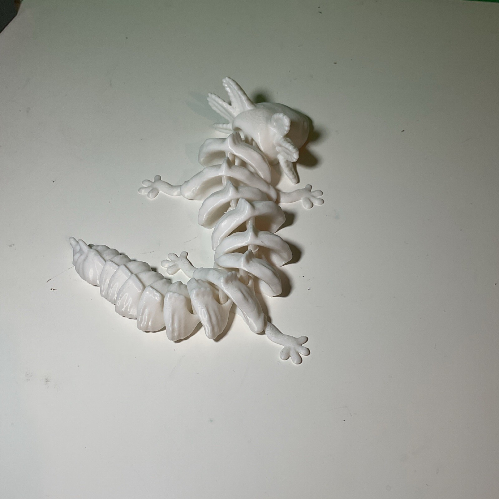 White Articulated Flexible Axolotl Tactile Sensory Toy for Ages 4-7 8-11 Years