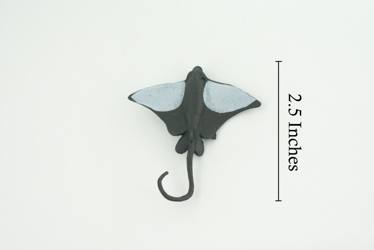 Toy California Bat Ray, Realistic, Model, Kids, Gift, 2 1/2 Inches CWG55 B197