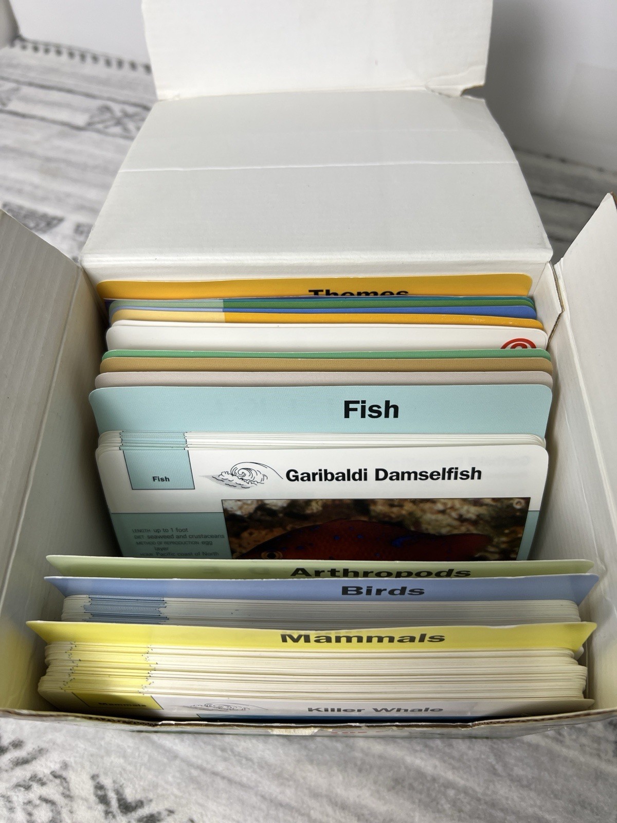 Grolier Wildlife Adventure Cards Box Animals Educational Homeschool 1990s