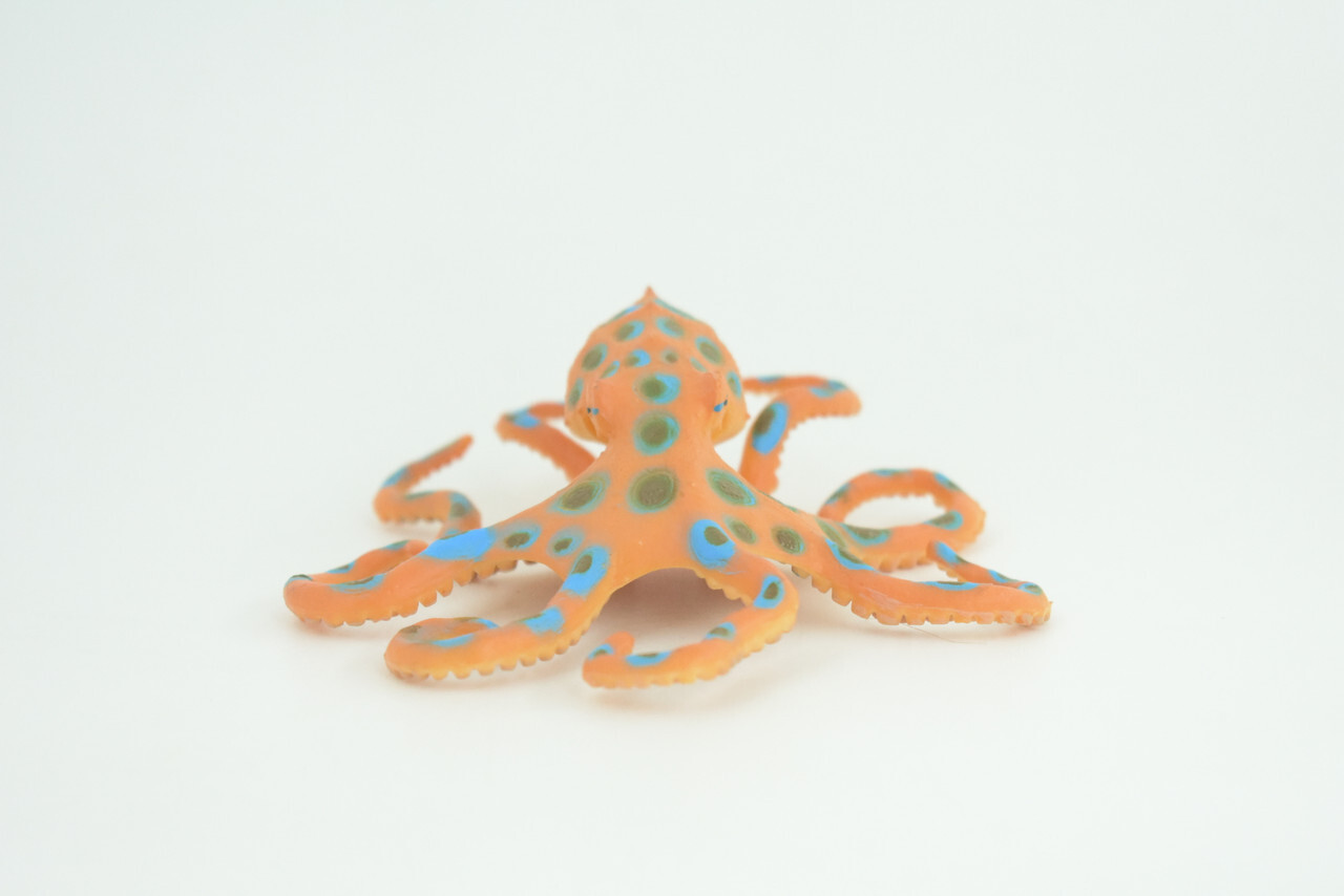 Blue Ringed Octopus Toy, Realistic Hand Painted Rubber Model, 4 1/2″ CH850 BB197