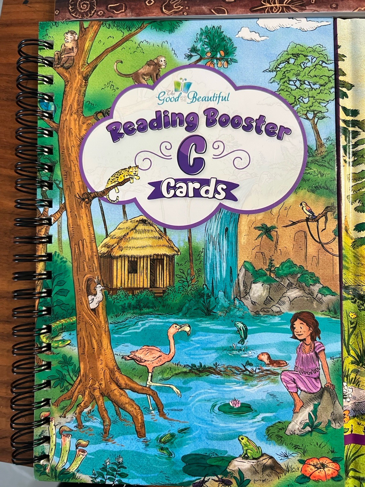 The Good And The Beautiful Reading Booster C Set Homeschool