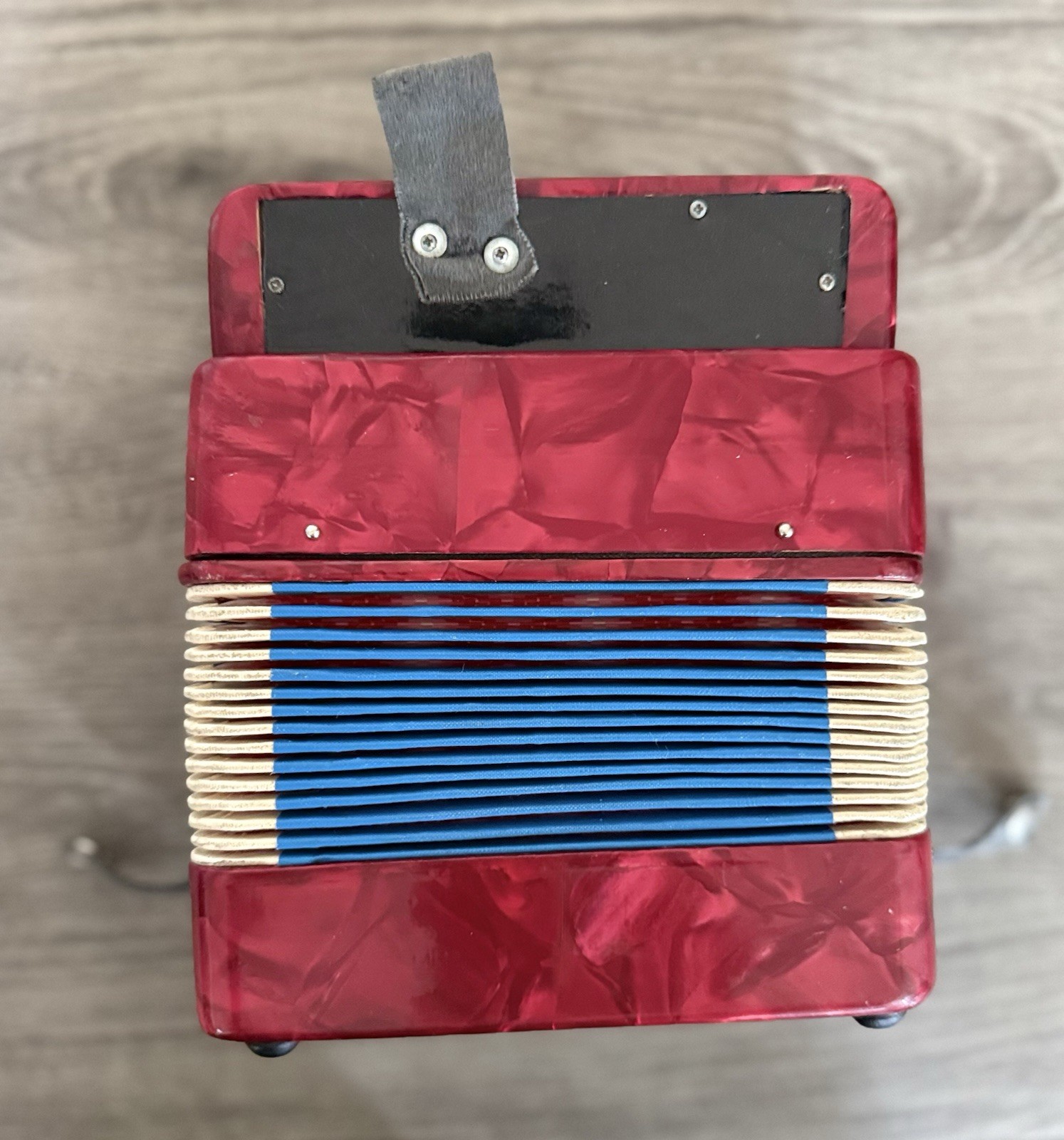1995 ACCORDION CHILDRENS MUSICAL INSTRUMENT SCHYLLING FUN LEARNING MUSIC POLKA