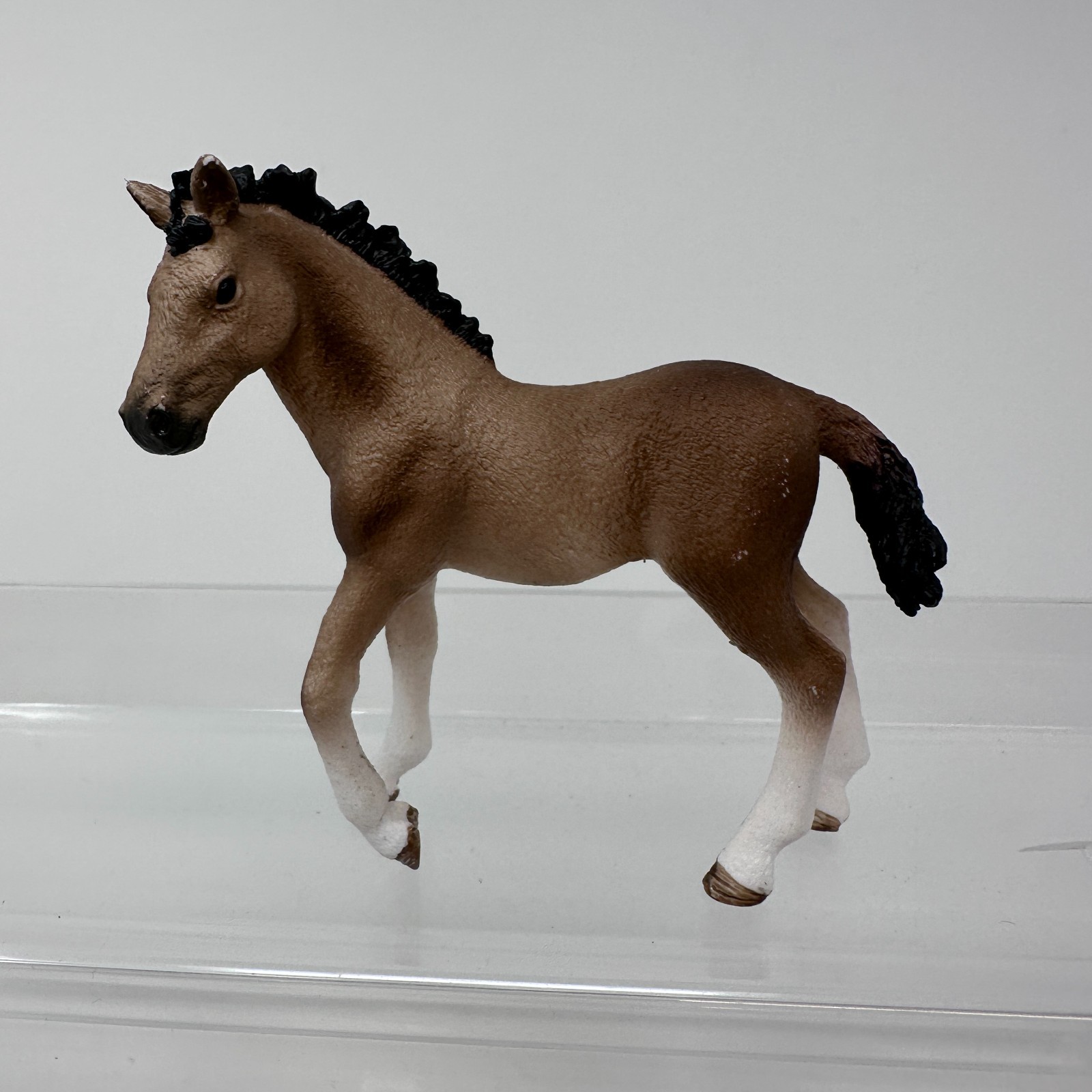 Schleich Andalusian Foal Figure Brown Baby Colt Horse Farm Animal Figurine 2016