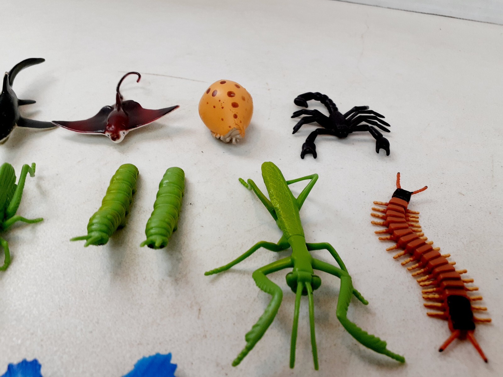 Lot Of 20 Safari Ltd Mini Figures Bugs Insects 2″-3″ Cake Toppers Education 524