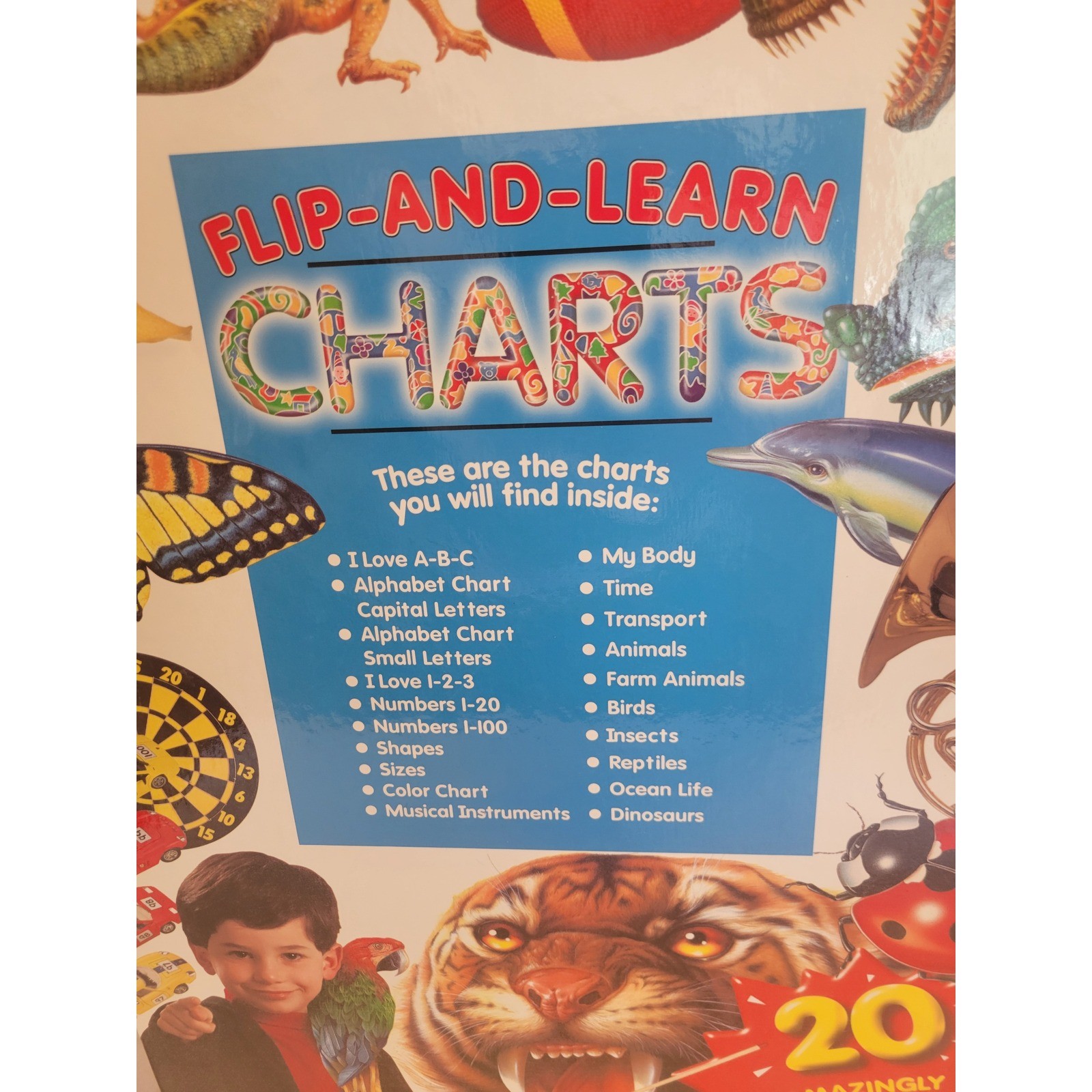 Tormont Flip and Learn Charts OS Multicolor 20 Educational Easel Charts 1998