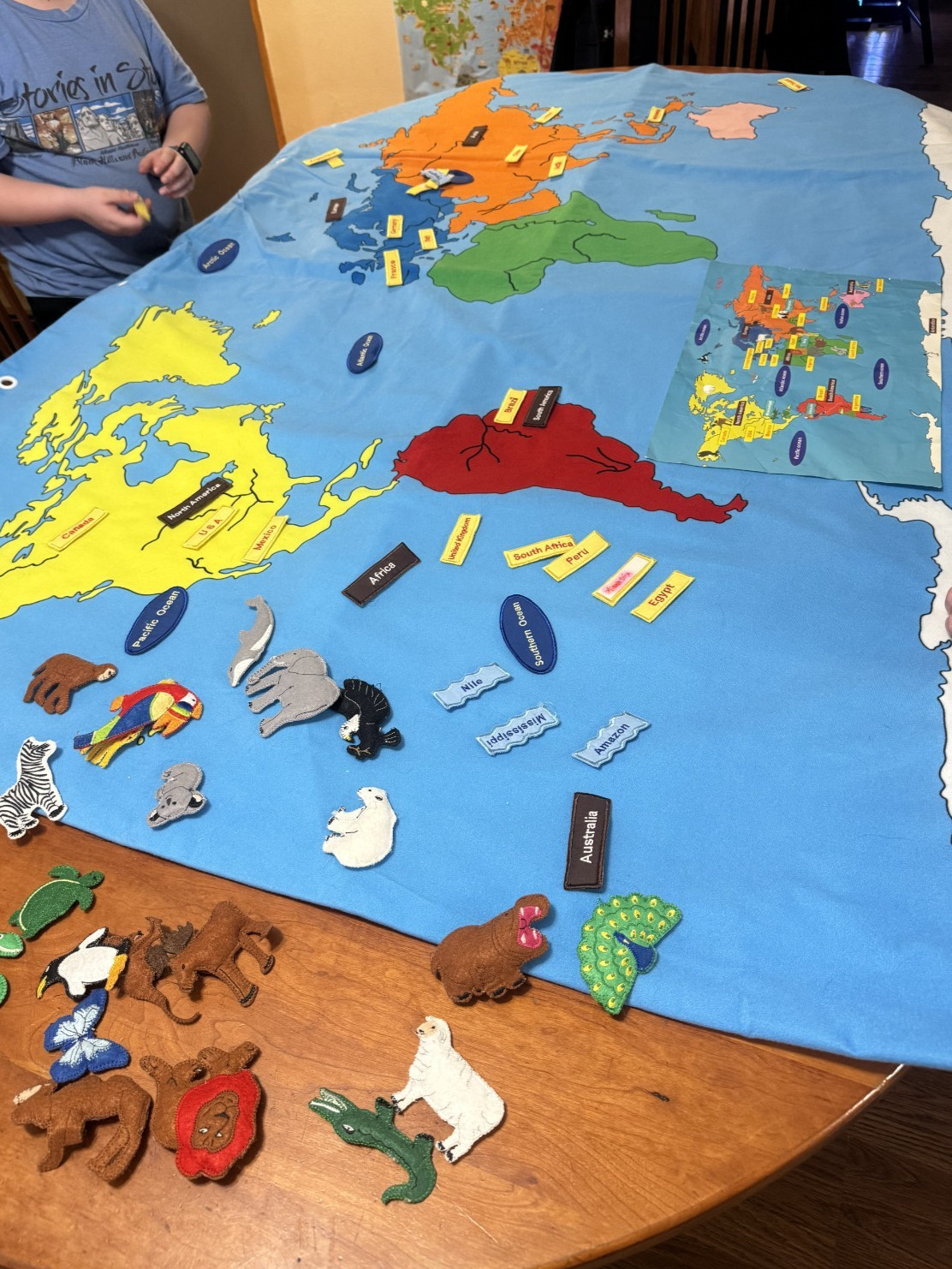 FAO Schwarz Educational 47″ x 71″ The Big Map Discover the Big Wide World
