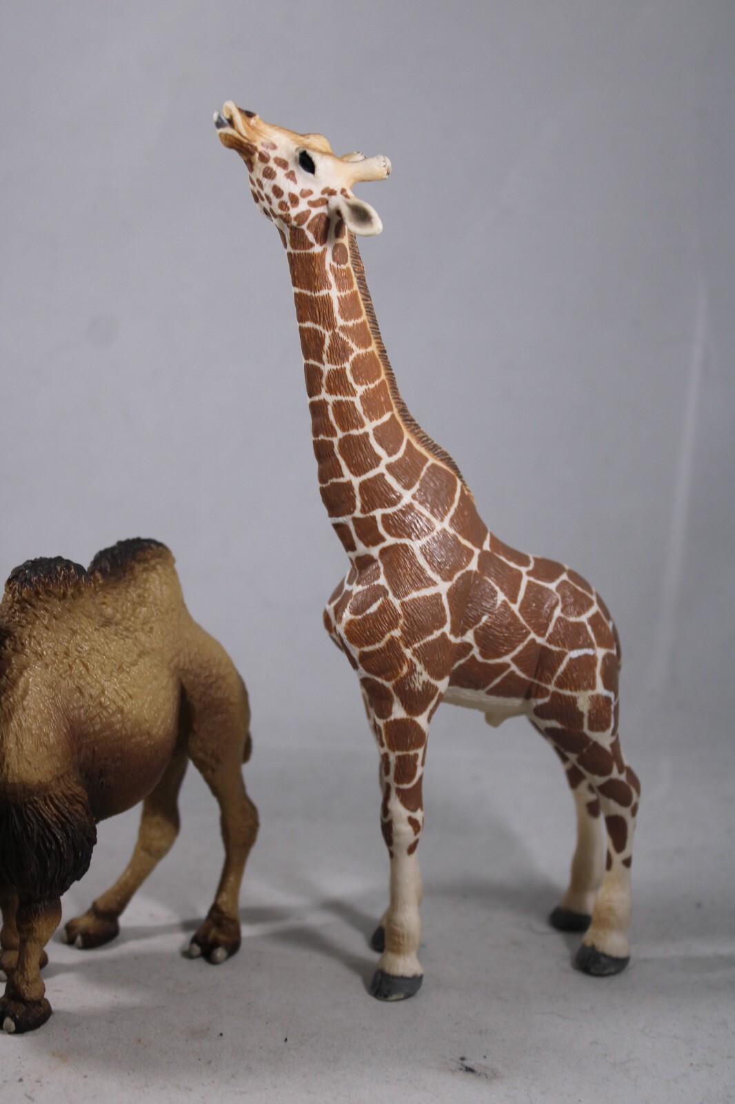 DROMEDARY Bactrain CAMEL Animal Figurine Safari Ltd. toy Figure Giraffe