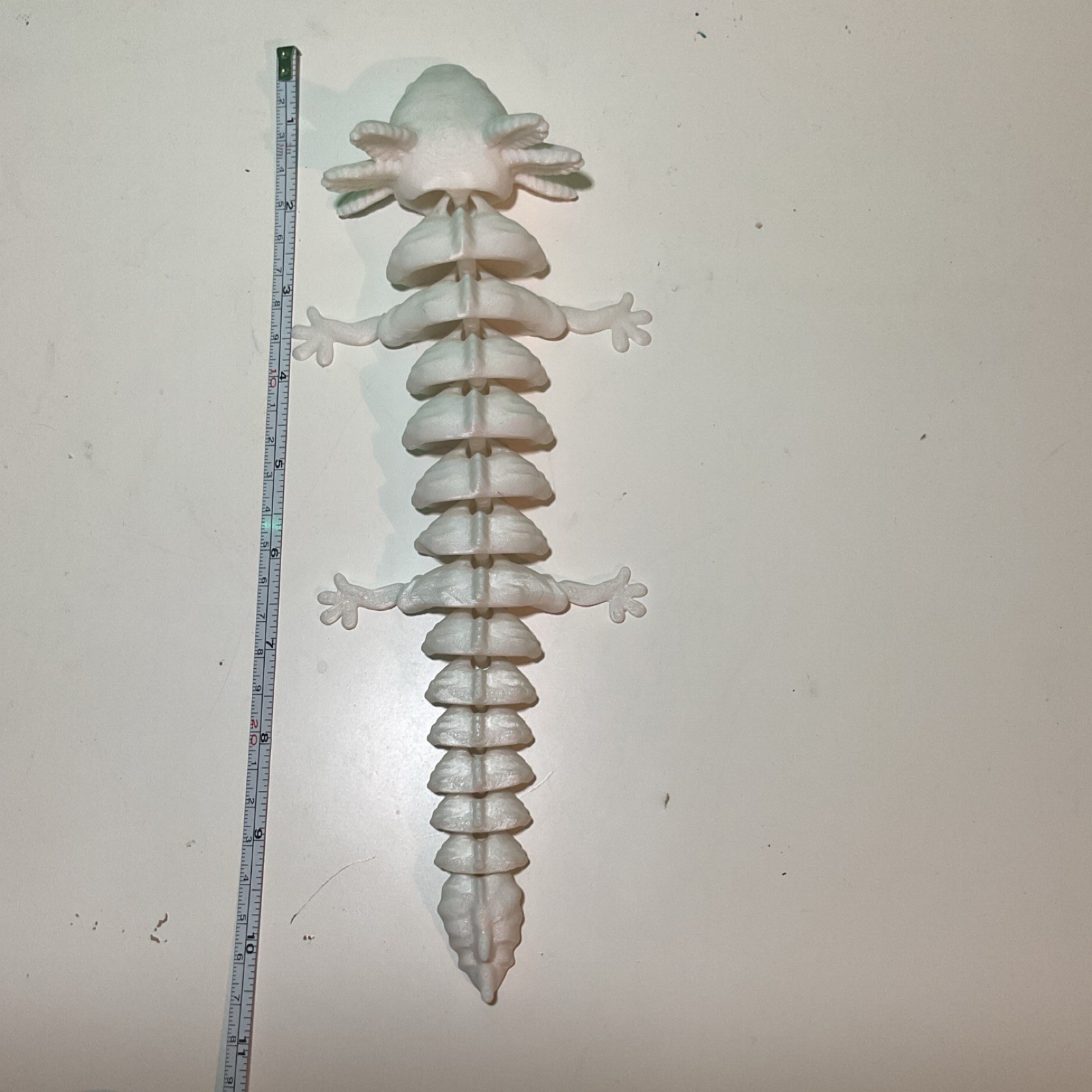 White Articulated Flexible Axolotl Tactile Sensory Toy for Ages 4-7 8-11 Years