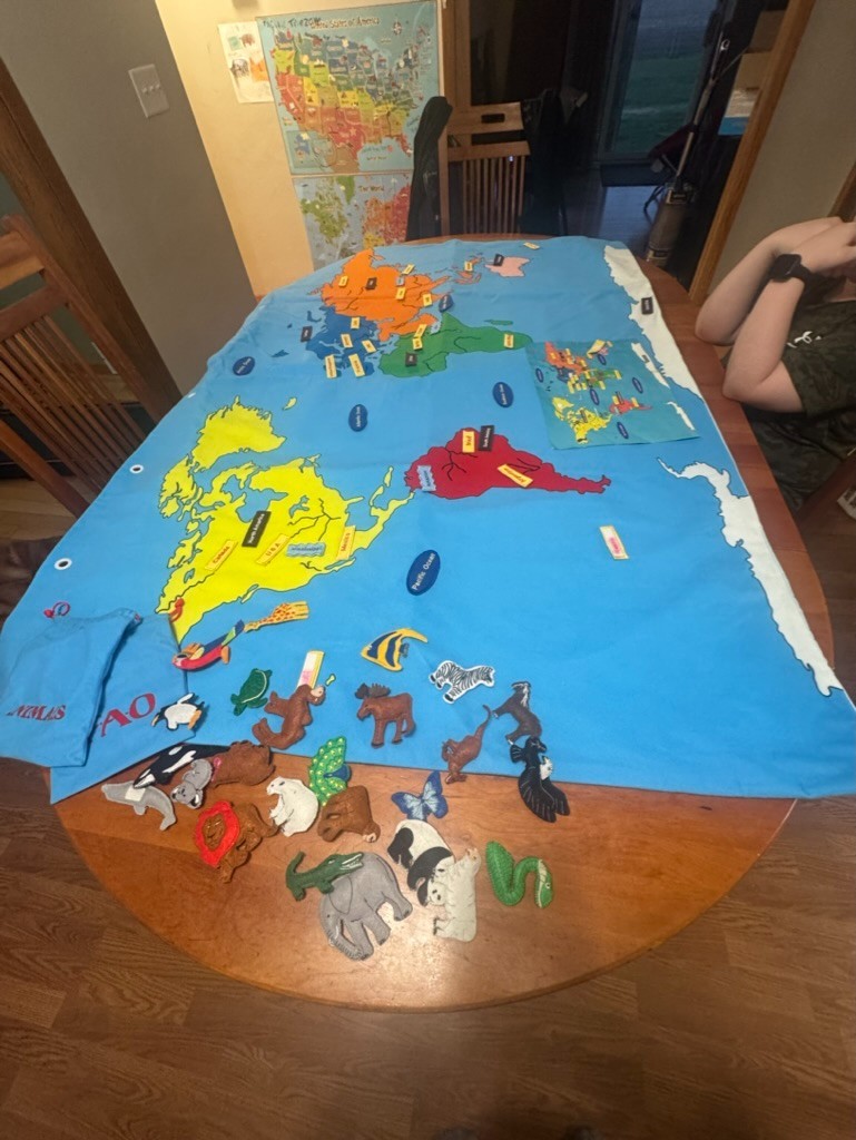 FAO Schwarz Educational 47″ x 71″ The Big Map Discover the Big Wide World